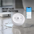 Smart WiFi Water Leak Sensor